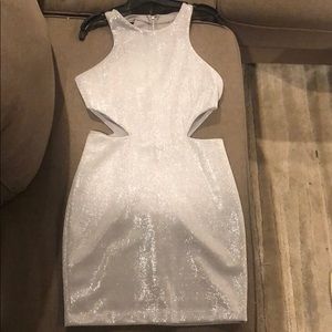 Sliver Dress